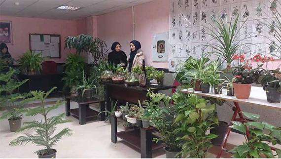نمایشگاه گل ها و گیاهان زینتی در رزن برگزار شد 