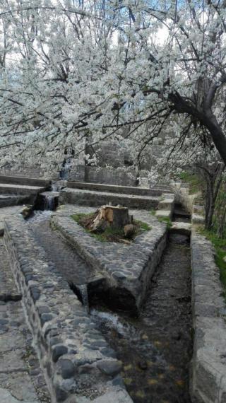 پارک کمربسته,سرکان,گنبله,تویسرکان,شکوفه,بهار,shabnamha.ir,شبنم همدان,afkl ih,شبنم ها