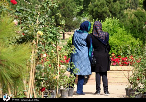 باغ ارم,شیراز,باغ گیاه شناسی,بهارنارنج,گل رز,گلهای رنگارنگ,اردیبهشت شیراز,shabnamha.ir,شبنم همدان,afkl ih,شبنم ها