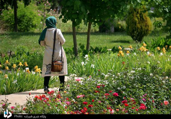 باغ ارم,شیراز,باغ گیاه شناسی,بهارنارنج,گل رز,گلهای رنگارنگ,اردیبهشت شیراز,shabnamha.ir,شبنم همدان,afkl ih,شبنم ها