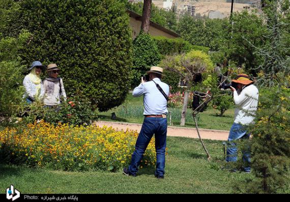 باغ ارم,شیراز,باغ گیاه شناسی,بهارنارنج,گل رز,گلهای رنگارنگ,اردیبهشت شیراز,shabnamha.ir,شبنم همدان,afkl ih,شبنم ها