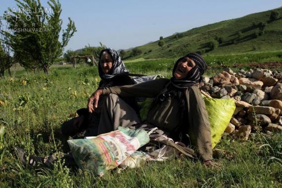 زنان سختکوش,کردستان,امرار معاش,مریوان,shabnamha.ir,شبنم همدان,afkl ih,شبنم ها