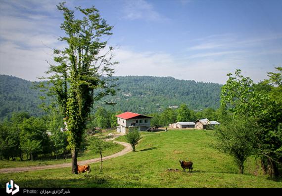 گزارش تصویری,عکس,صنایع دستی,هنرهای سنتی بومی,shabnamha.ir,شبنم همدان,afkl ih,شبنم ها