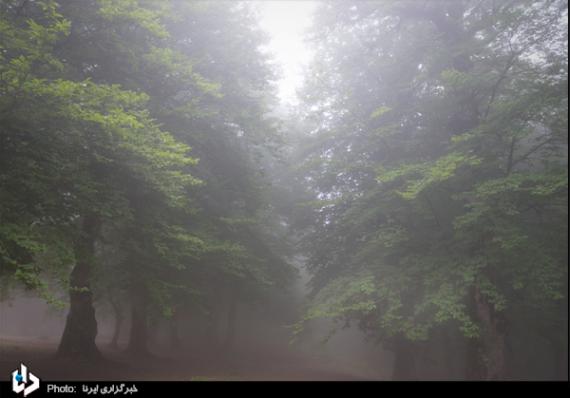 گزارش تصویری,مازندران,کلاردشت,روستای مازیچال,shabnamha.ir,شبنم همدان,afkl ih,شبنم ها