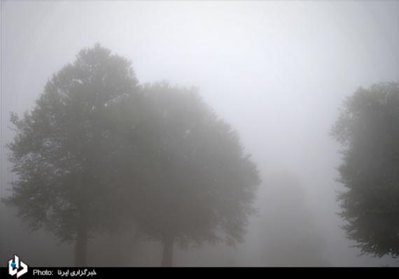 گزارش تصویری,مازندران,کلاردشت,روستای مازیچال,shabnamha.ir,شبنم همدان,afkl ih,شبنم ها