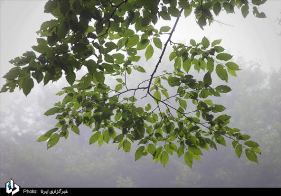 گزارش تصویری,مازندران,کلاردشت,روستای مازیچال,shabnamha.ir,شبنم همدان,afkl ih,شبنم ها