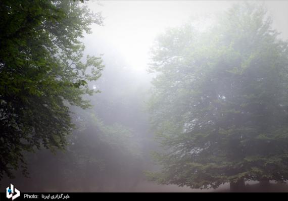 گزارش تصویری,مازندران,کلاردشت,روستای مازیچال,shabnamha.ir,شبنم همدان,afkl ih,شبنم ها