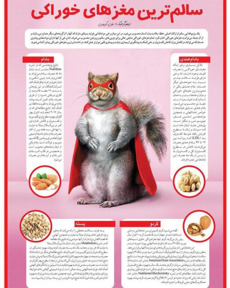 موادغذایی سالم,مغزهای خوراکی,دانه های اجیلی,بادام هندی,گردو,shabnamha.ir,شبنم همدان,afkl ih,شبنم ها