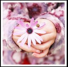 اهدای گل به زنان چادری +تصاویر