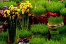 برگزاری مسابقه سبزه آرایی در ایام نوروز در ملایر