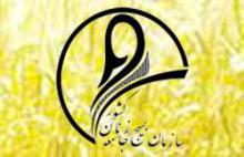 بسیج جامعه زنان، بازوی قدرتمند پروژه موزه نقش زن در انقلاب اسلامی و دفاع مقدس است 
