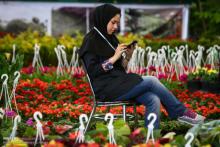 نمایشگاه گل بنفشه و گیاه آپارتمانی در همدان برگزار می شود 
