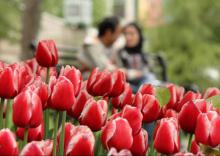  نامزدی ، دوران نامزدی ، مرجع تقلید ، مراجع تقلید ، فقه ، فقه شیعه ، احکام اسلام ، احکام اسلامی ، زن در اسلام ، خانواده در اسلام ، زن مسلمان ، زنان مسلمان ، اسلام