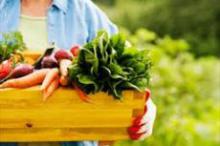 مواد غذایی فوق العاده برای افزایش عشق و محبت