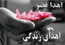 اهدای اعضا,کودک 17 ماهه,بیمار,همدان,مرگ مغزی,shabnamha.ir,شبنم همدان,afkl ih,شبنم ها