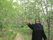 تویسرکان,محرومیت,قصبستان,بانوی روستایی,خورشید بانوی تلاشگر,shabnamha.ir,شبنم همدان,afkl ih,شبنم ها