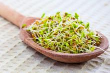 جوانه گندم,اکسیر جوانی,بهبود تخمک گذاری,اختلالات قاعدگیshabnamha.ir,شبنم همدانafkl ih,شبنم ها; 